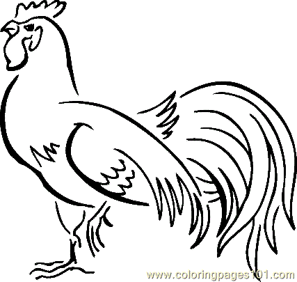 427x405 Chicken Coloring Pages