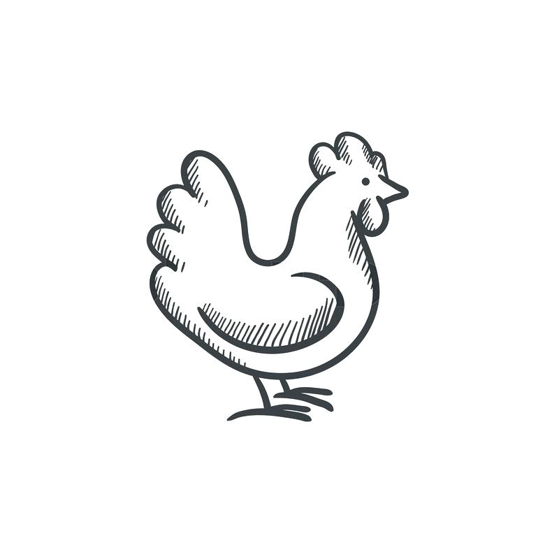 800x800 hen scratching line drawing kitchen