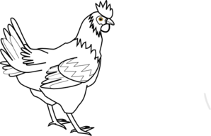 298x192 Hen Drawing, Picture