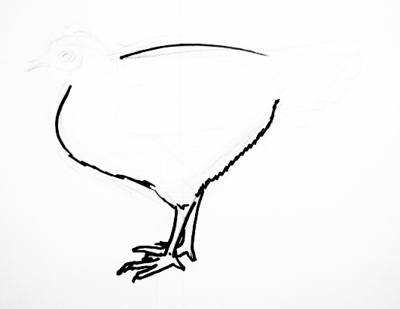 400x309 Hen Drawing