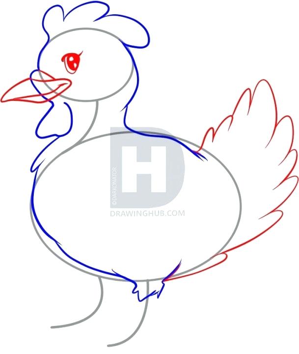 609x720 How To Draw A Hen Step