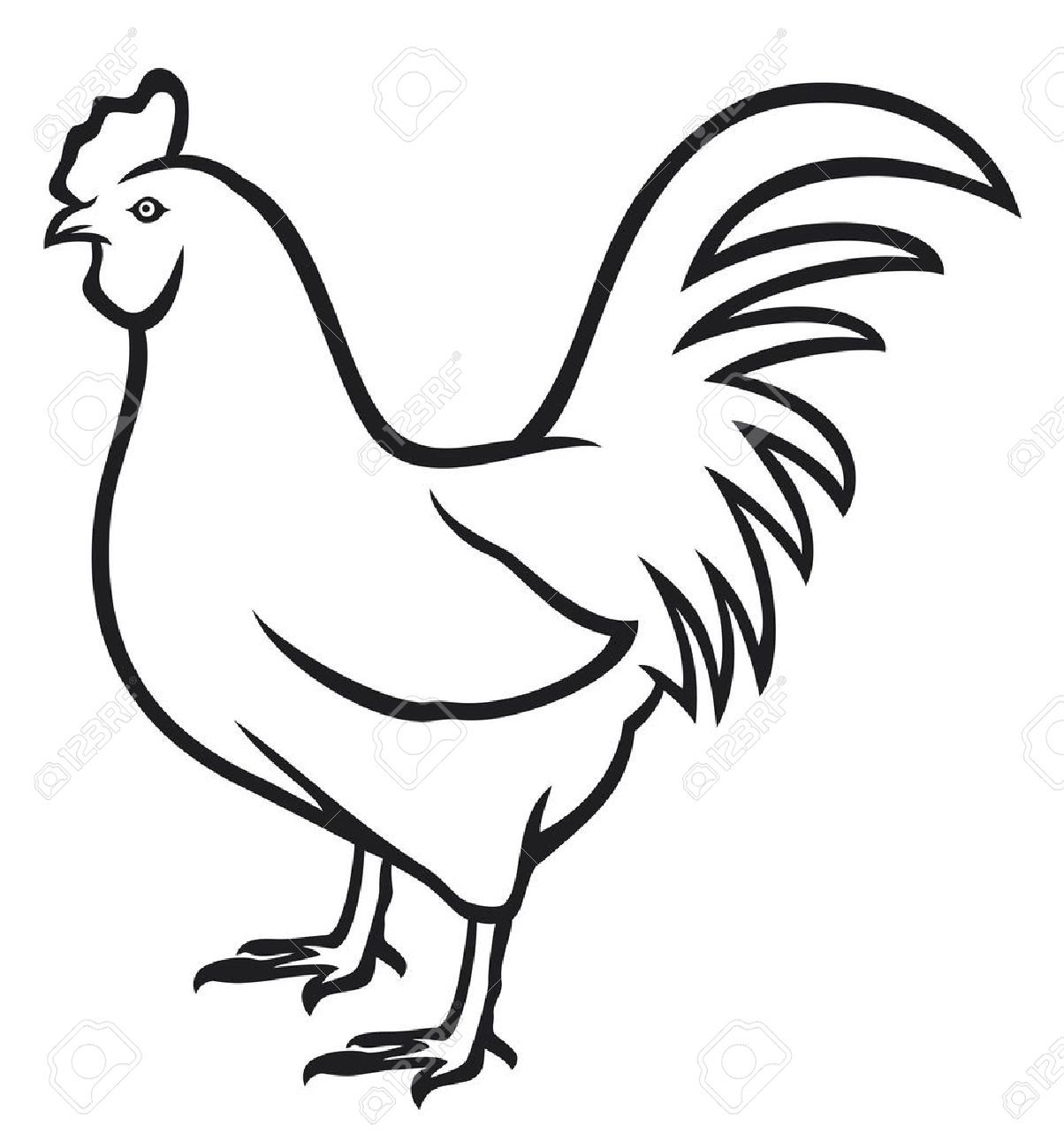 1204x1300 hen stock photos, pictures, royalty free hen images and stock