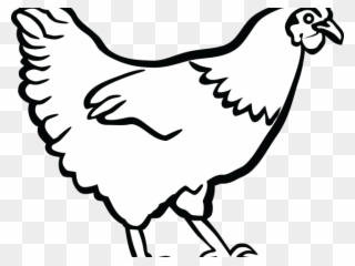 320x240 Bloodborne Clipart Chicken