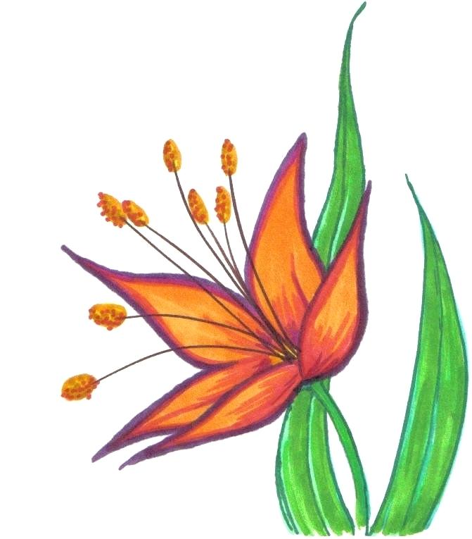 671x765 flower designs to draw sharpie flower