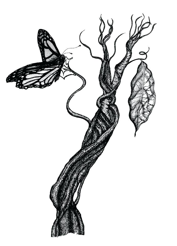 694x960 Drawn Designs Ashimrajkonwar