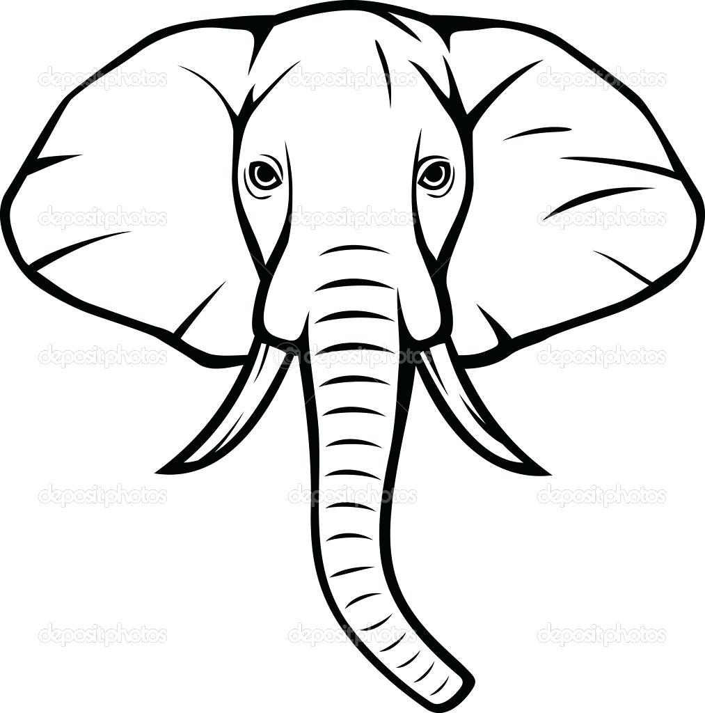 1013x1024 Elephant Drawing Elephant Face Drawing Simple Grandmasti Club
