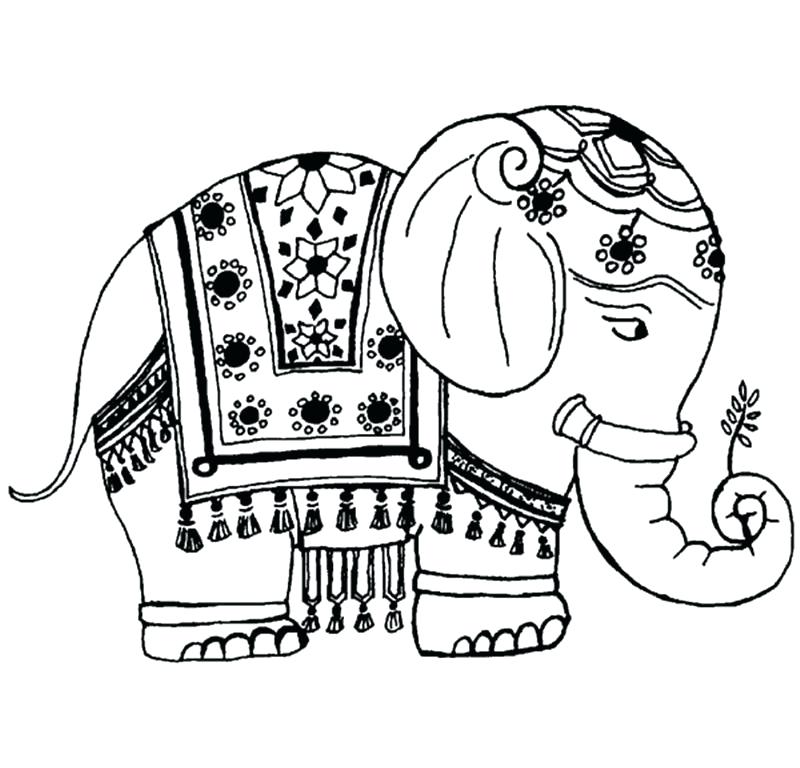 800x768 Collection Of Free Elephants Clipart Fancy Amusement Clipart