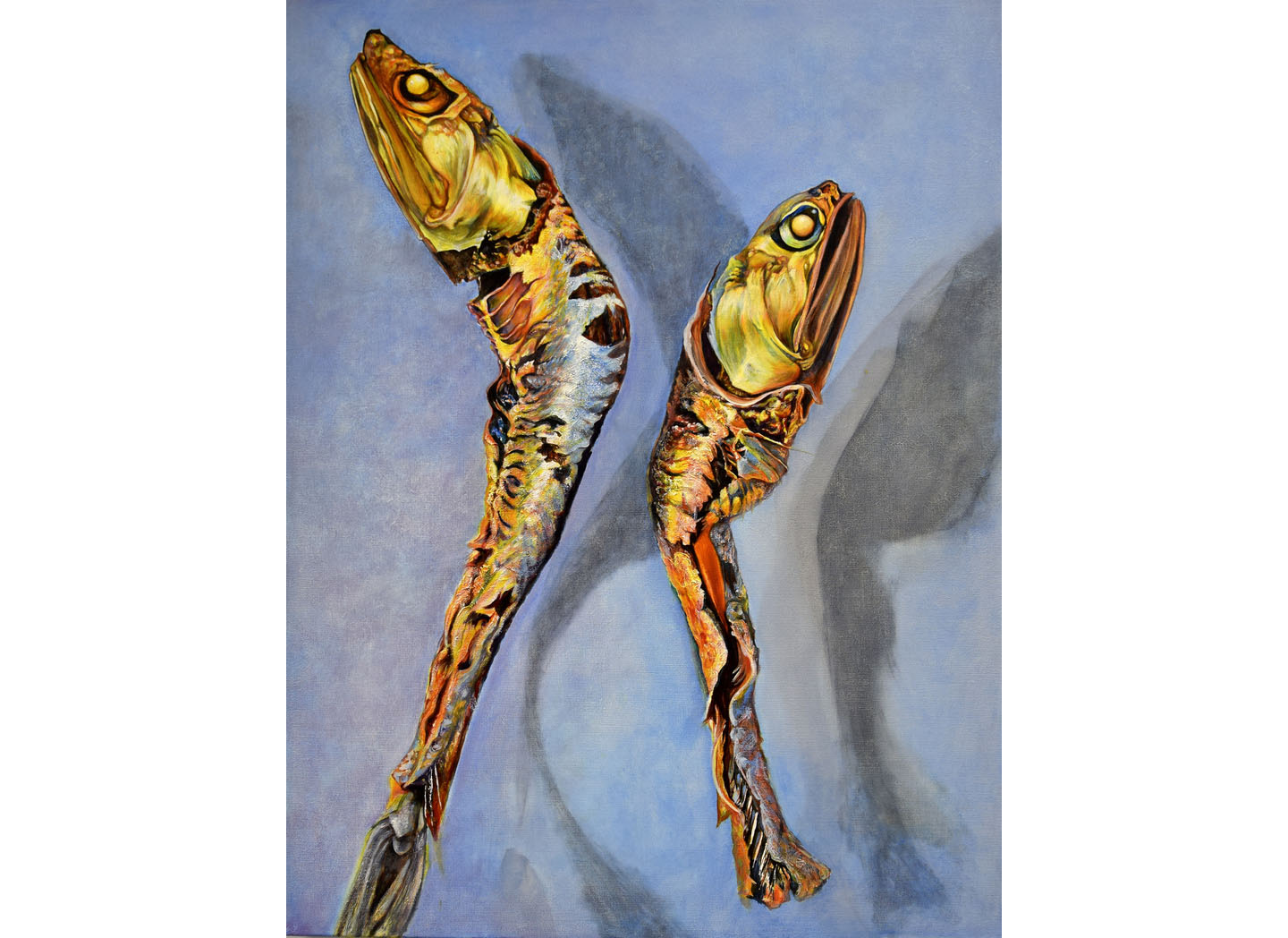 1440x1048 Art Exhibits To Explore This Month Dcist