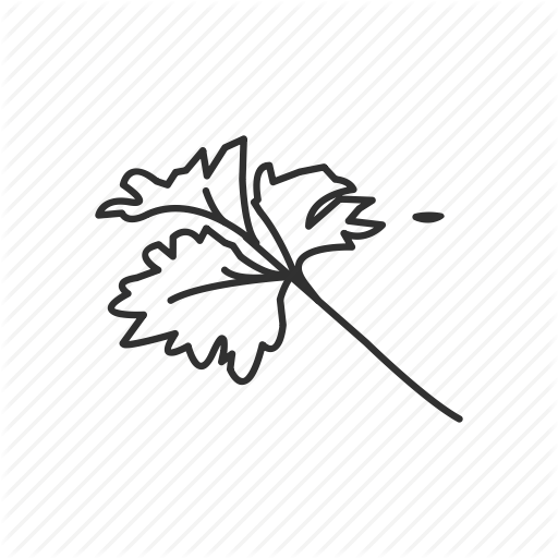 512x512 Drawing Vegetable Spice Transparent Png Clipart Free Download