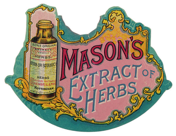 600x466 Herbs Drawings