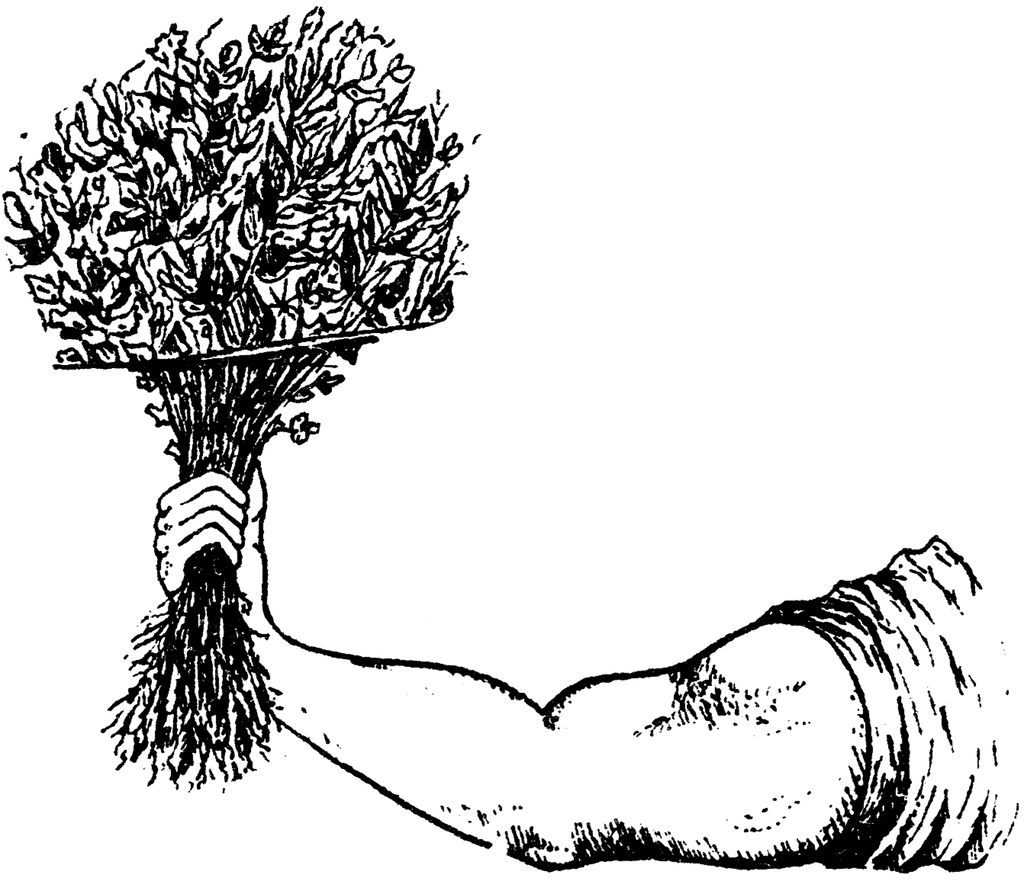 1024x881 human arm reaching for herb medicine clipart etc