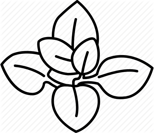 512x442 Herbs Drawing Outline Huge Freebie! Download For Powerpoint