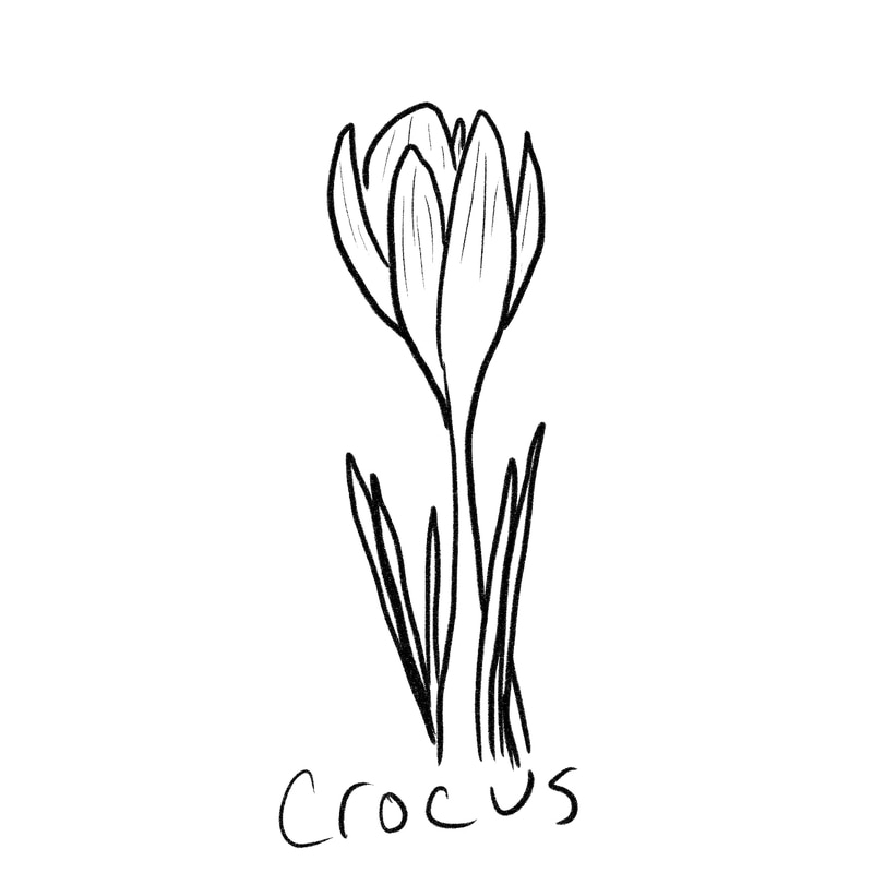 800x800 Horticulture Blackline Drawings