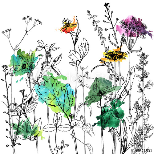 500x500 Background With Drawing Herbs And Flowers