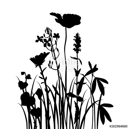 500x500 Background With Drawing Herbs And Flowers Stock Image And Royalty