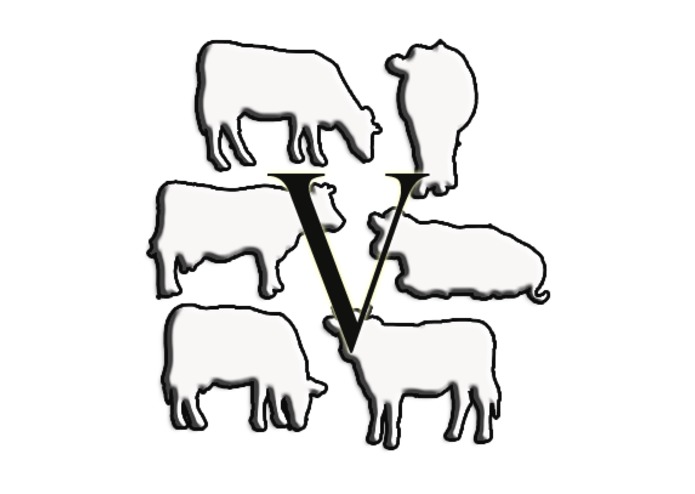 695x494 The Labors Of Hercules Devpost