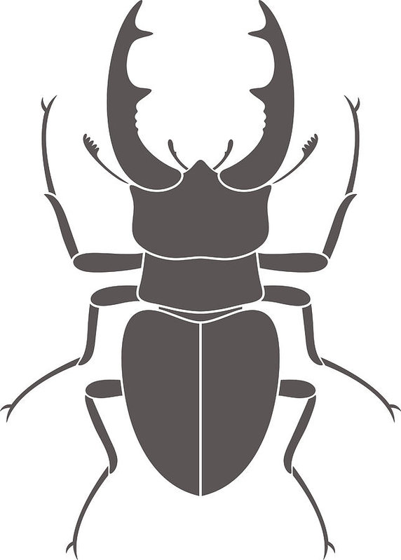 572x799 beetle deer hercules beetle art print