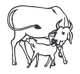 260x240 Hereford Transparent Png Images Cliparts