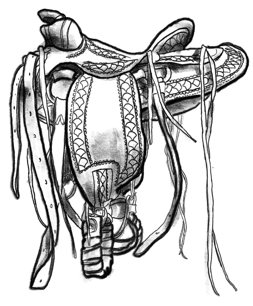 848x1024 the highland hereford rough riders avram dumitrescu