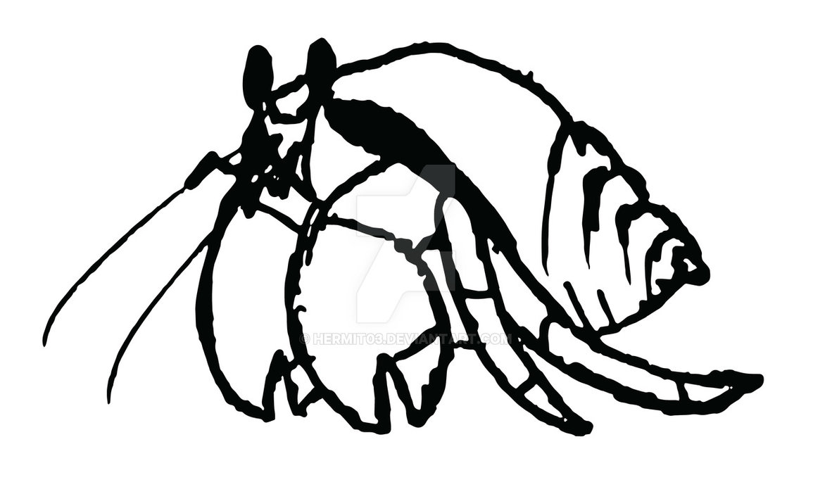 1155x692 Hermit Crab Sketch