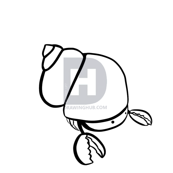 720x720 How To Draw A Cute Cartoon Hermit Crab, Step