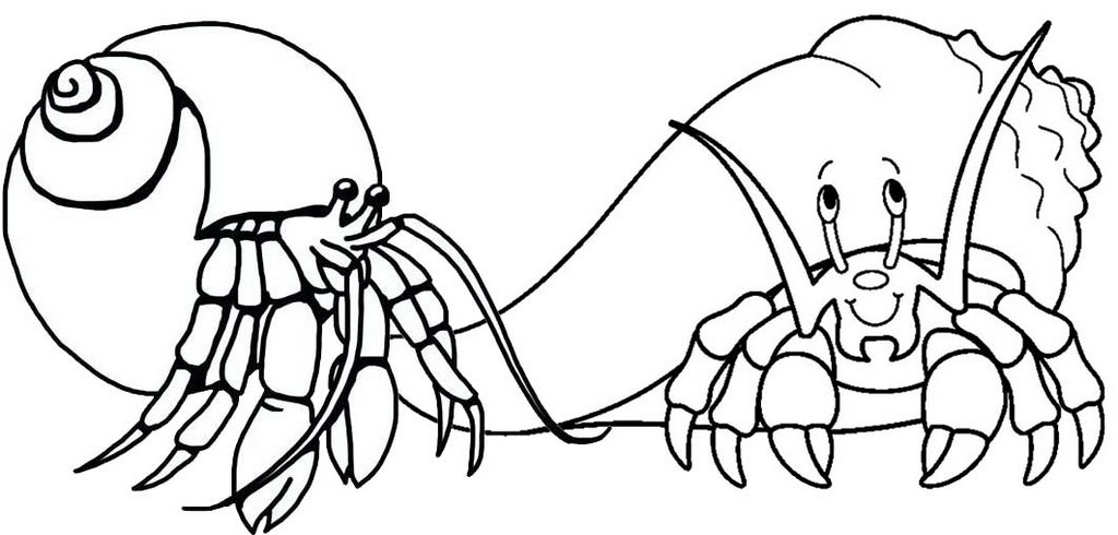 1024x490 Original And Cartoon Hermit Crab Coloring Pages For Children