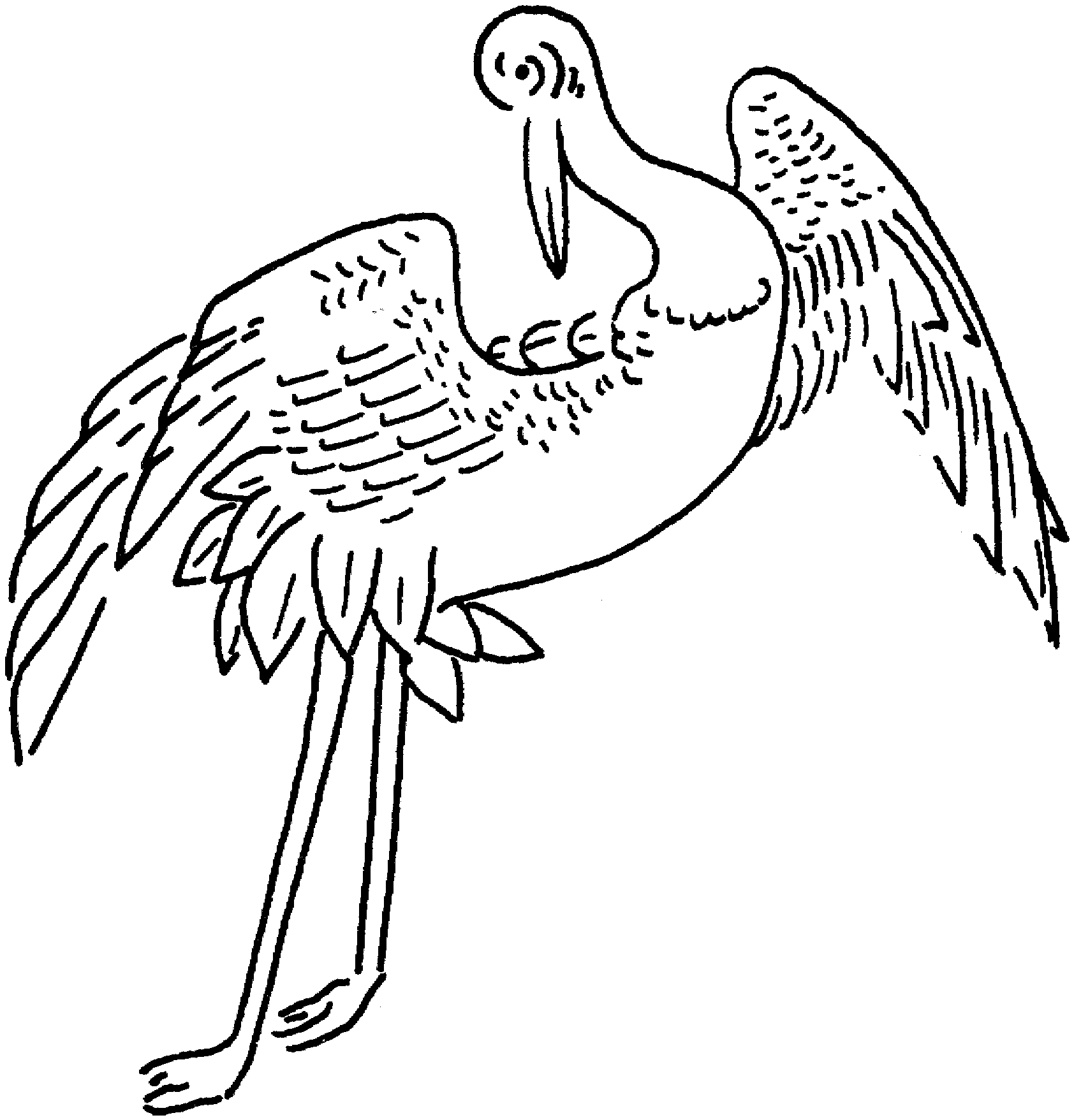 Heron Drawing
