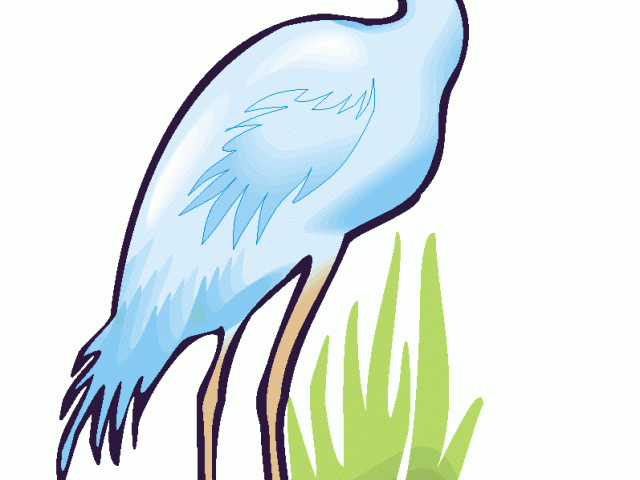 640x480 Great Blue Heron Clipart Drawing