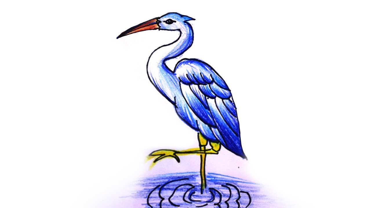 1280x720 How To Draw A Heron