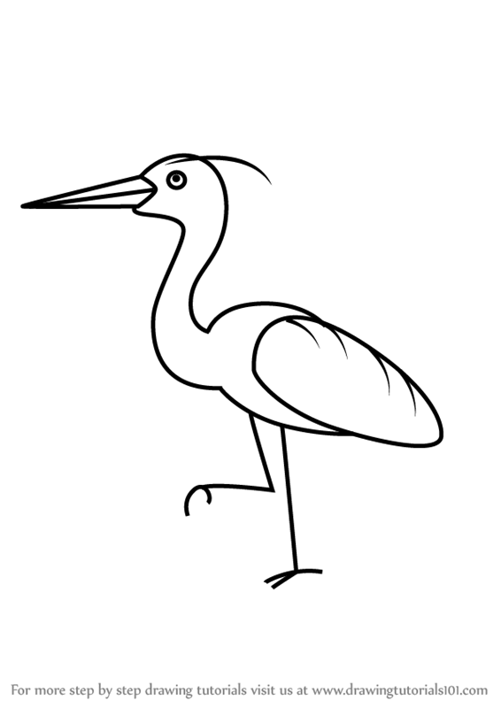 566x800 Learn How To Draw A Heron For Kids