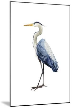 302x450 Seabird Heron I Art Print