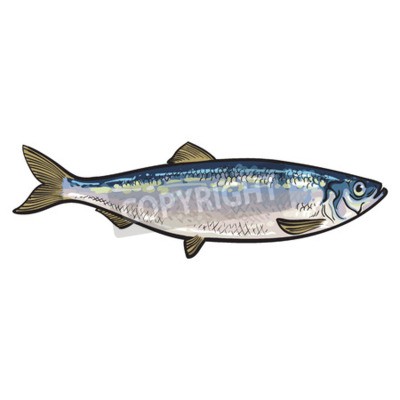 400x400 Fotoladen Fotojehle