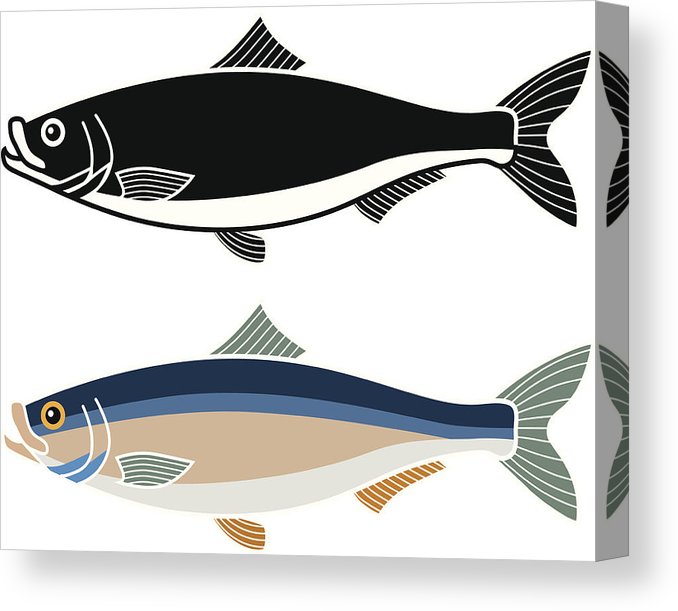 678x611 Herring Canvas Print Canvas Art
