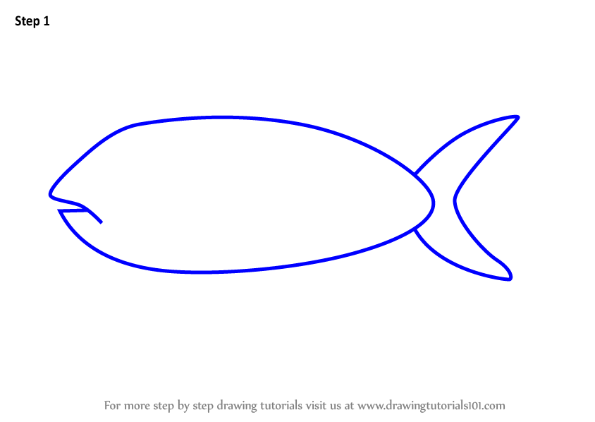 844x598 Learn How To Draw A Herring Fish For Kids