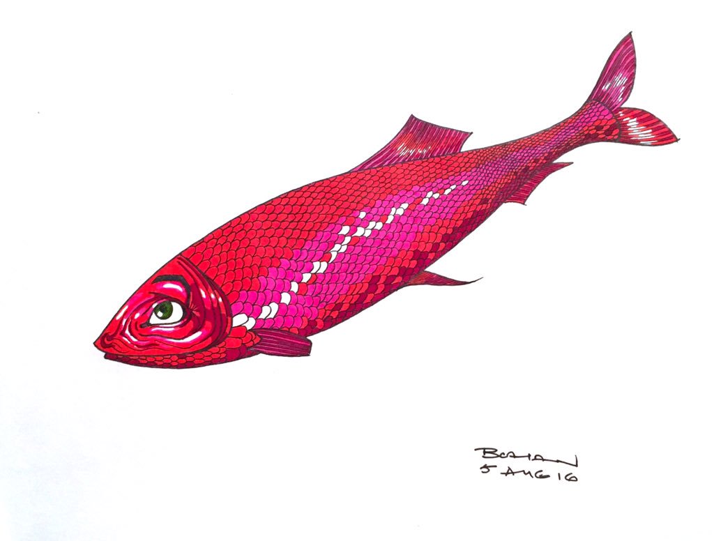 1024x776 Dr Robert Bohan On Twitter Red Herring