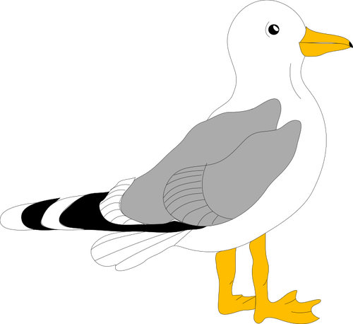 500x458 drawing of gull with grey feathers