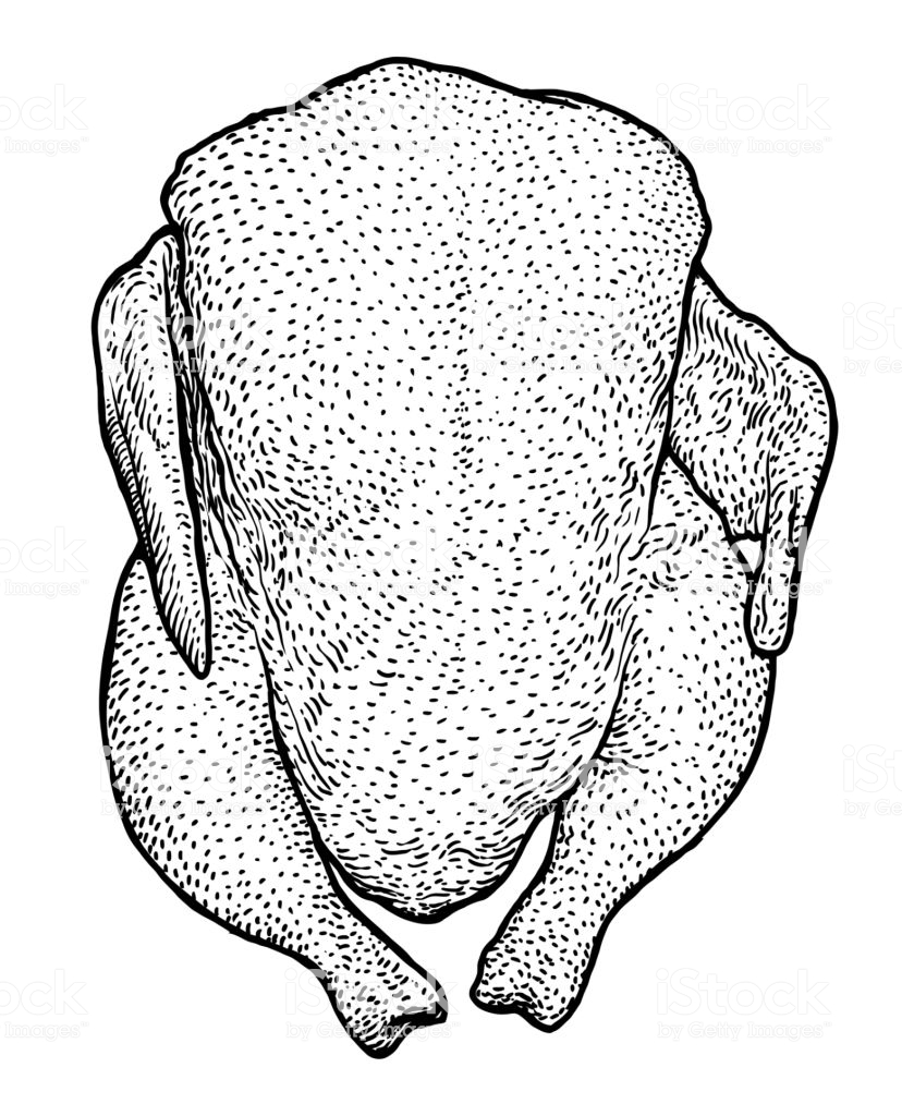 828x1024 Huge Collection Of 'chicken Line Drawing' Download More Than