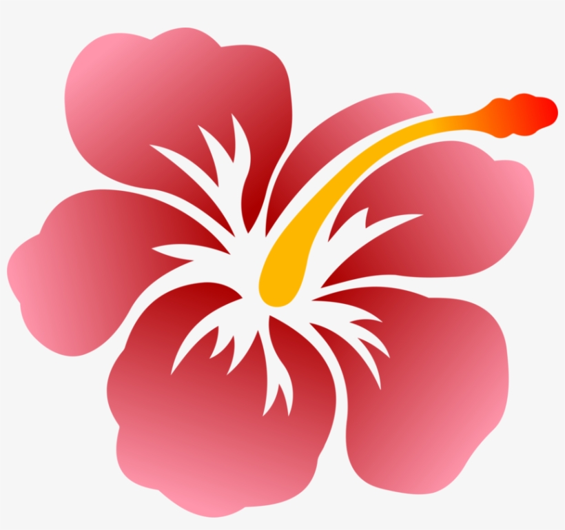 820x769 Drawing Hibiscus Drawing Group