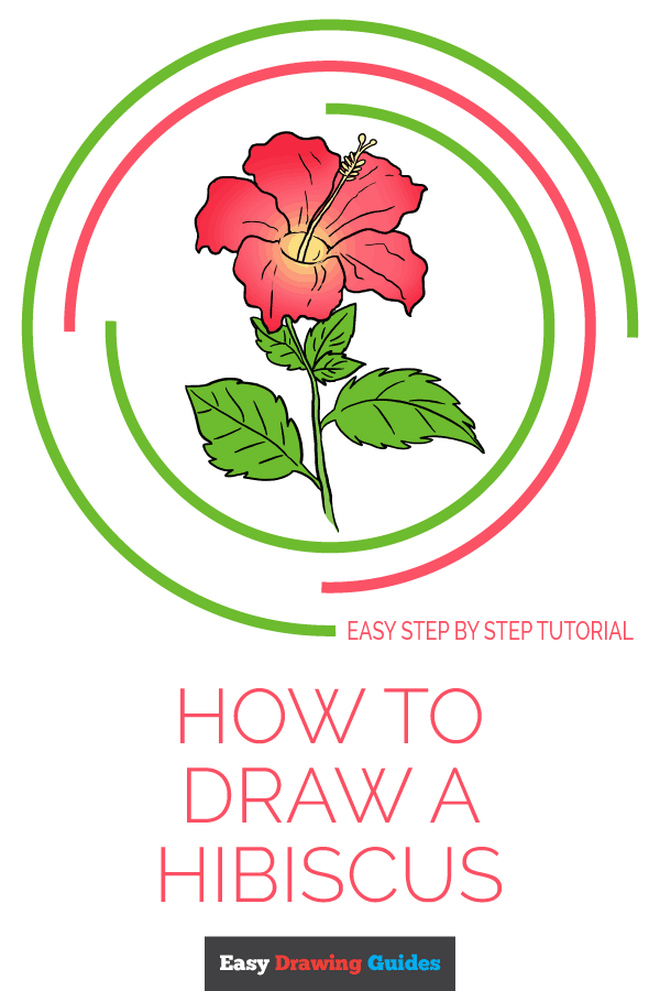 600x900 How To Draw A Hibiscus