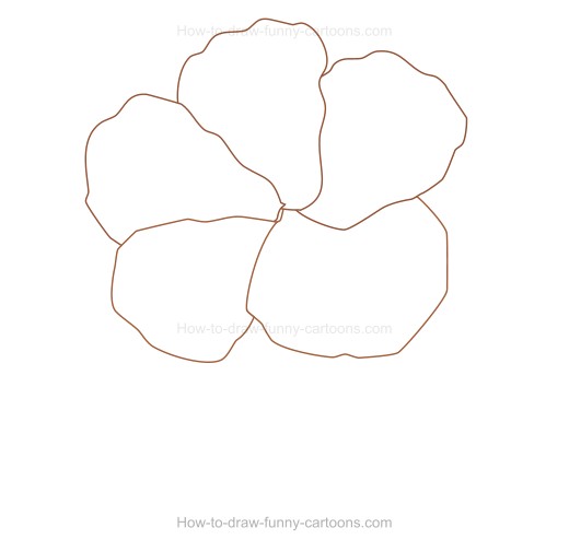 520x504 How To Create A Hibiscus Drawing