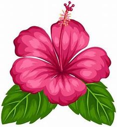 235x255 Best Hibiscus Flower Drawing Images Doodle Art, Doodles, Stencils