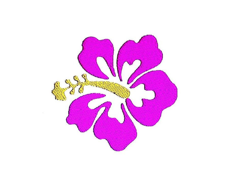 900x730 Hawaiian Hibiscus Flower Drawings