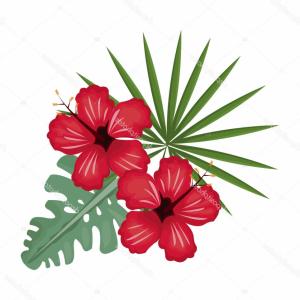 300x300 Stock Illustration Hawaiian Flower Vector Set Hibiscus Oleander