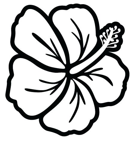 447x469 How To Draw A Hibiscus Flower Tutorial Drawn Hibiscus Flower Draw