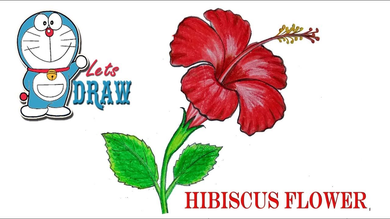 1280x720 How To Draw A Hibiscus Flower Step