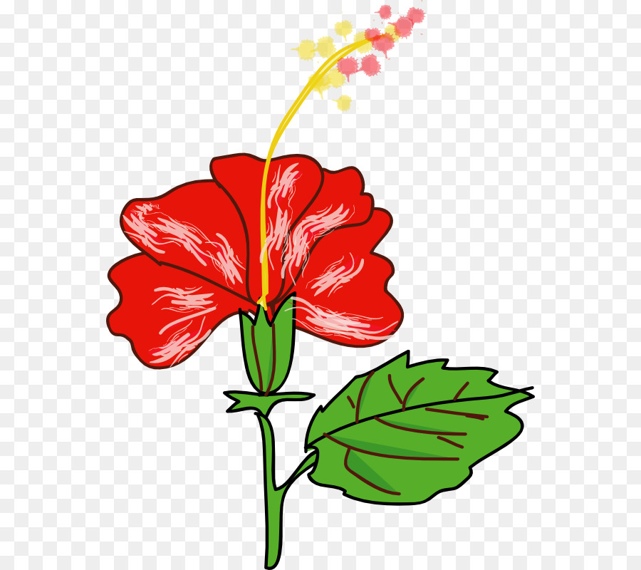 900x800 Collection Of Free Hibiscus Clipart Drawing Amusement Clipart