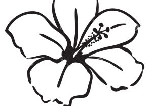 300x210 Easy China Rose Flower Drawing