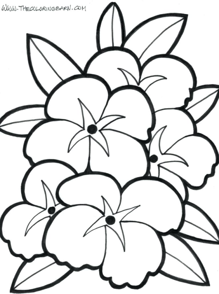 766x1024 Hawaiian Flowers Drawing Best Flower Drawing Ideas On Hibiscus