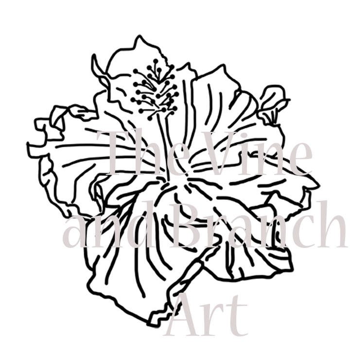720x720 Hibiscus Line Drawing For Maker Machines Etsy