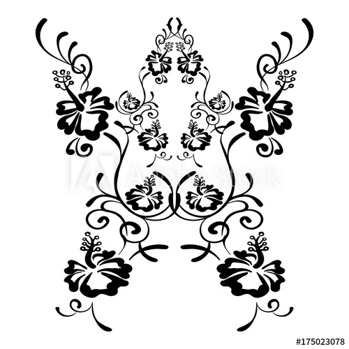 500x500 Hibiscus Flowers Drawing And Sketch With Line Art